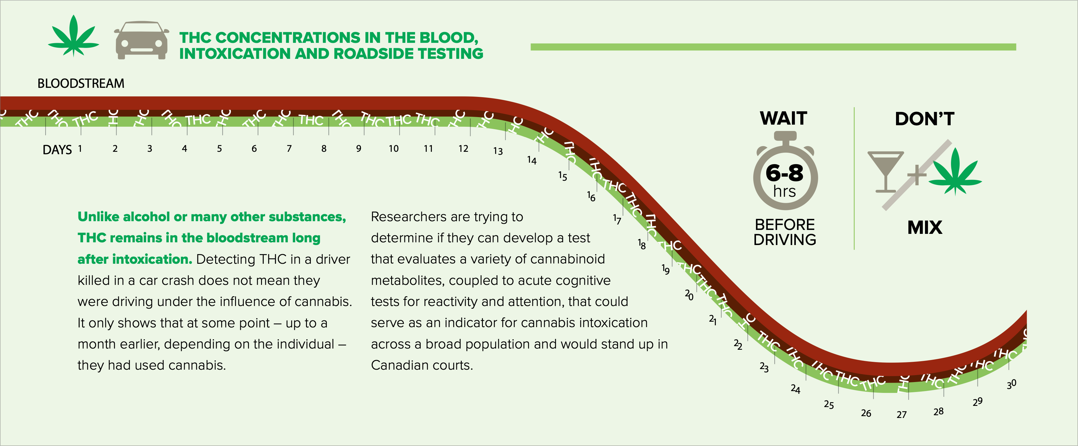 The Big Picture Report Card