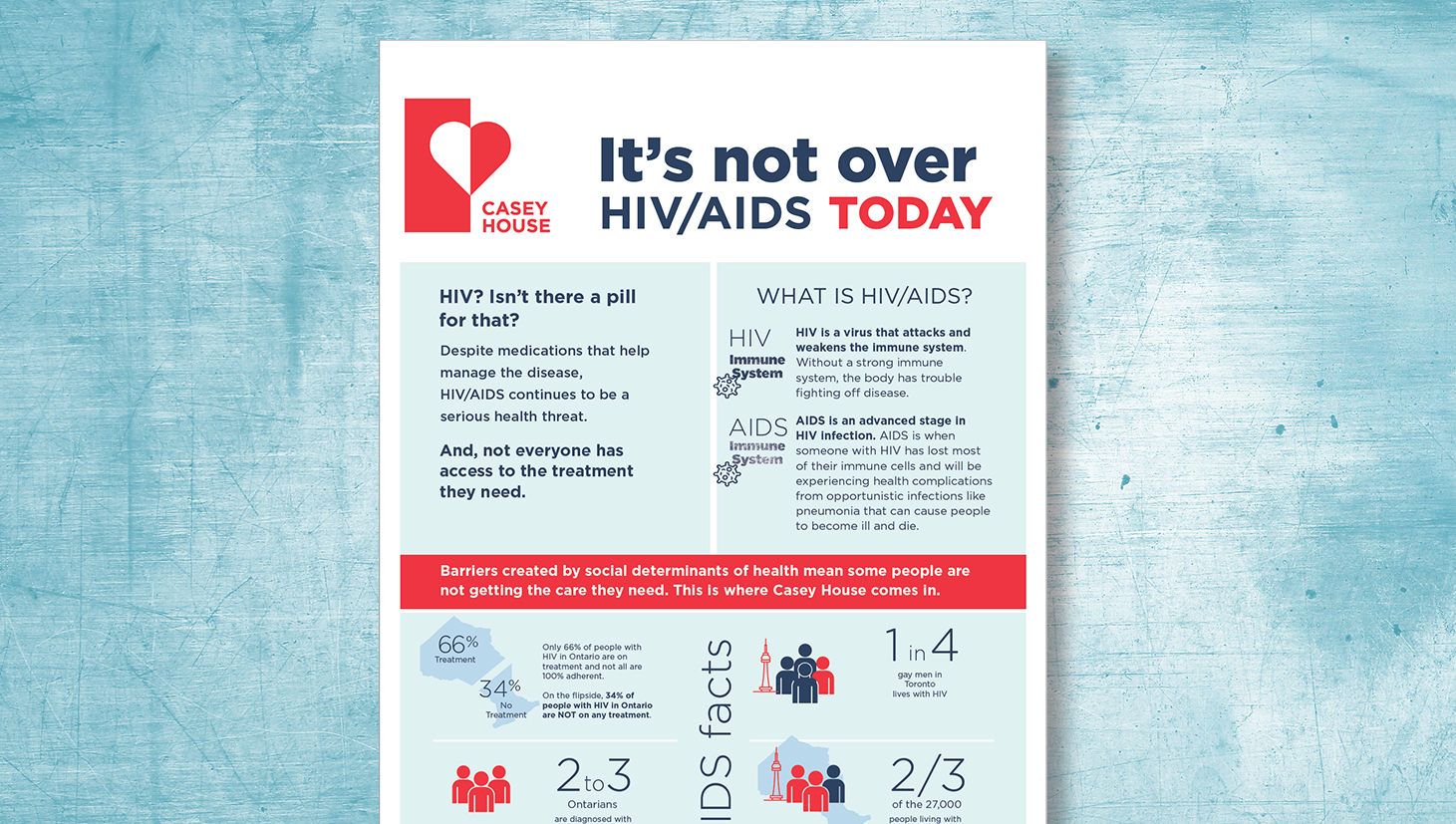 The Big Picture Report Card