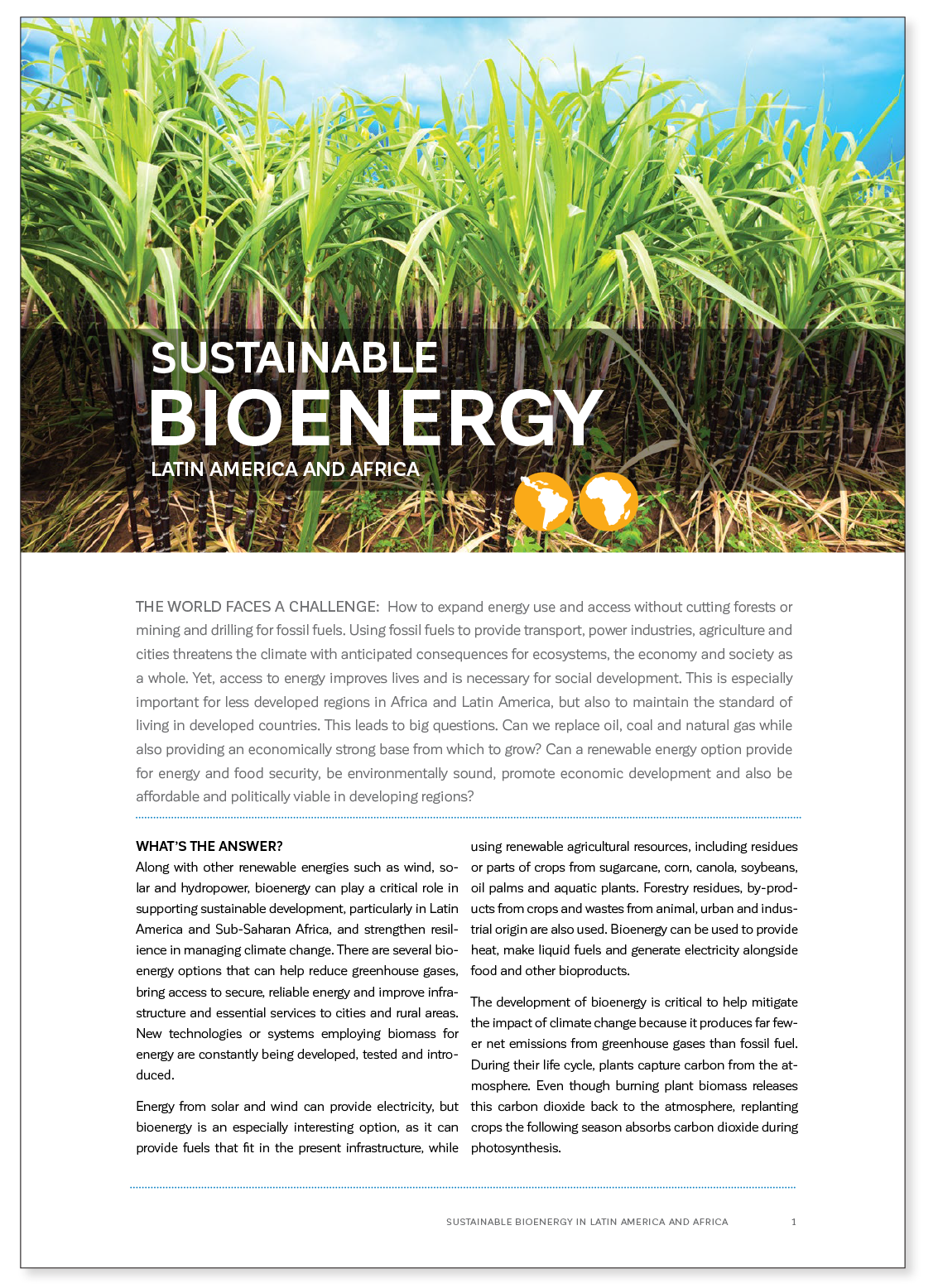 Publications and Infographics